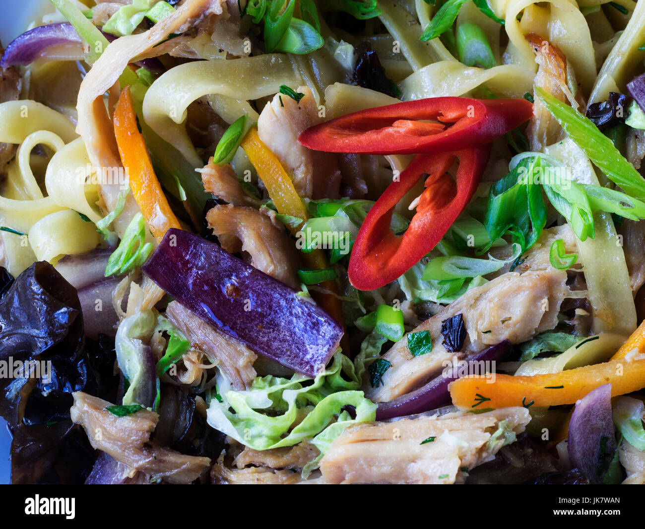 Des nouilles avec de la viande et des légumes d'oiseaux Banque D'Images