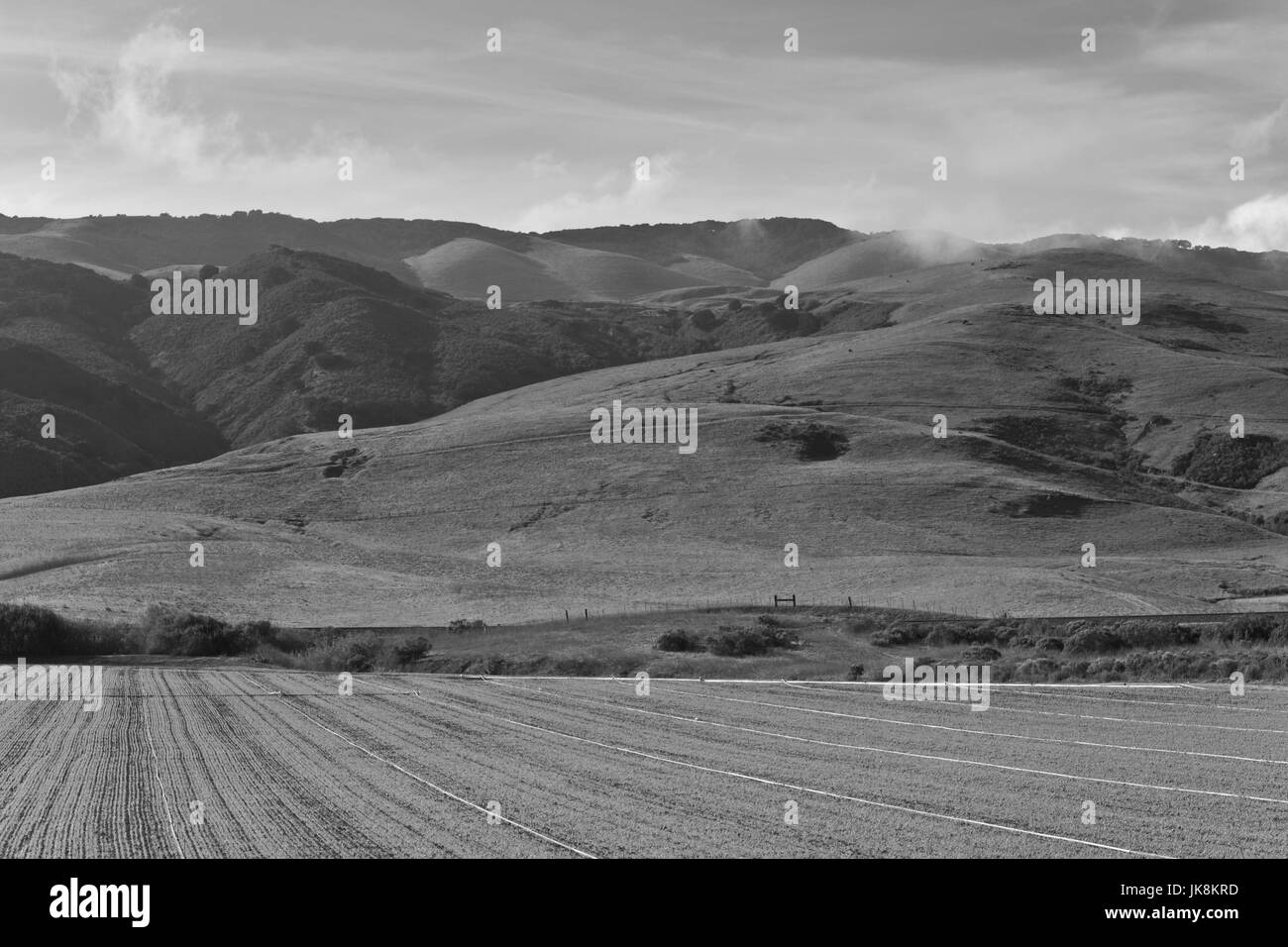 États-unis, Californie, Californie du Sud, Guadalupe, farm field Banque D'Images