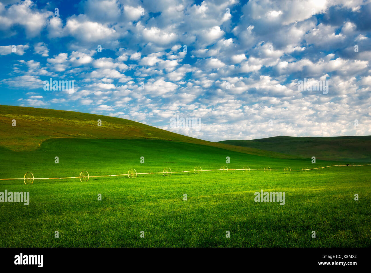 Roue d'irrigation en pâturage avec ciel nuageux. Wallowa County, Oregon Banque D'Images