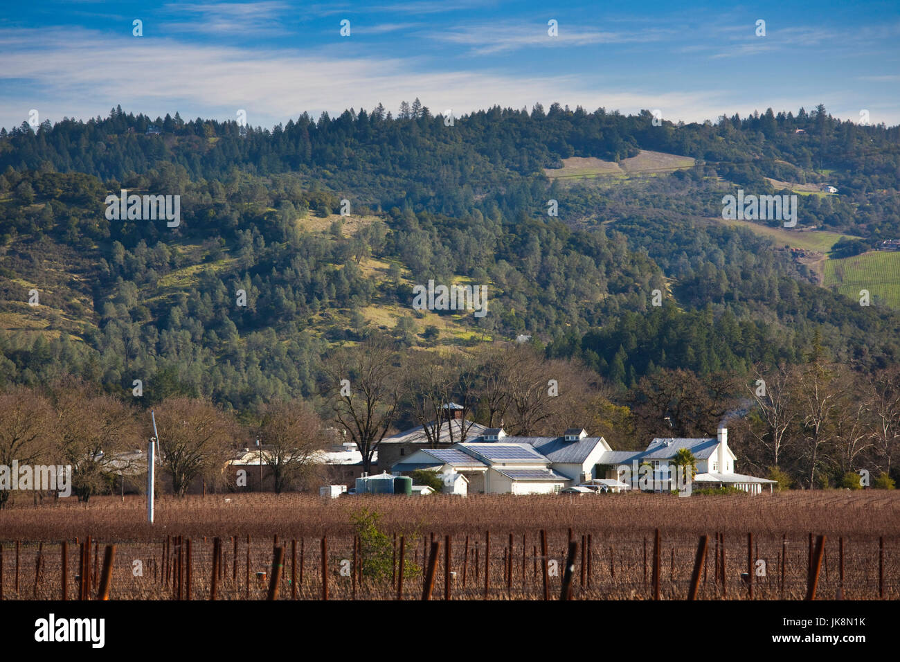 États-unis, Californie, Nord de la Californie, Napa Valley Wine Country, calistoga, Napa Vineyard Banque D'Images