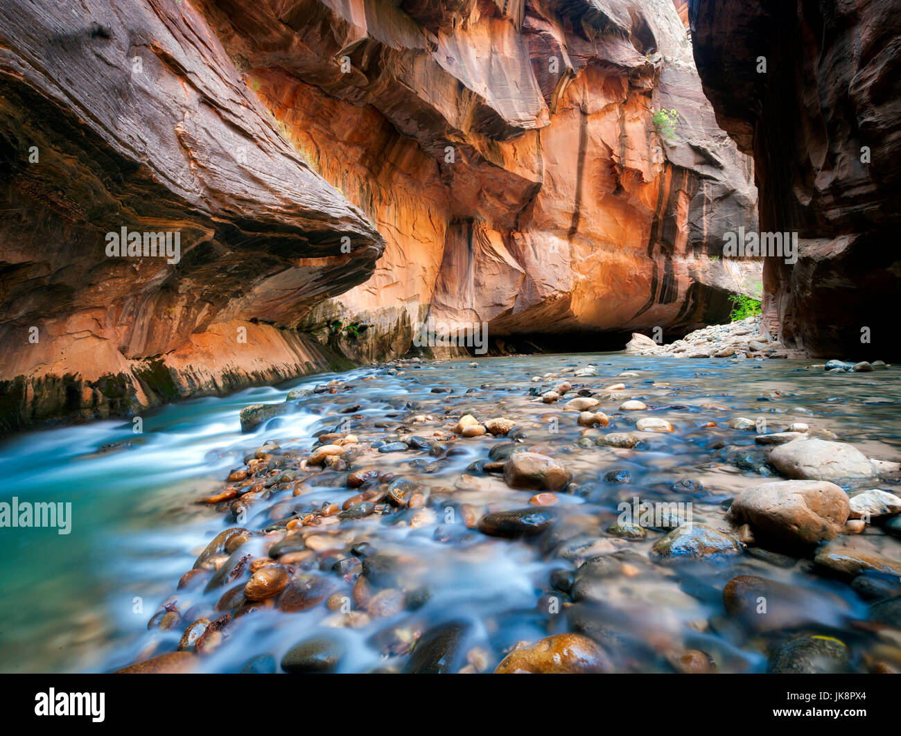 Stream et des parois du canyon. Virgin River. Zion National Park, Utah. Banque D'Images