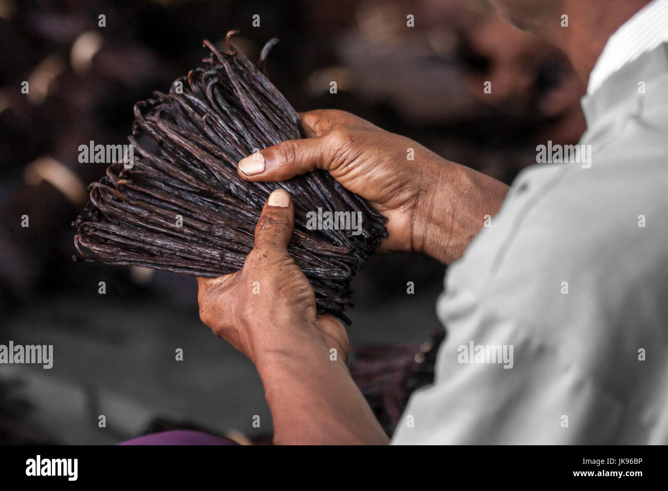 Antalaha, Madagascar, 19 août 2016 : Préparation de la vanille dans un atelier artisanal à Antalaha, est de Madagascar Banque D'Images