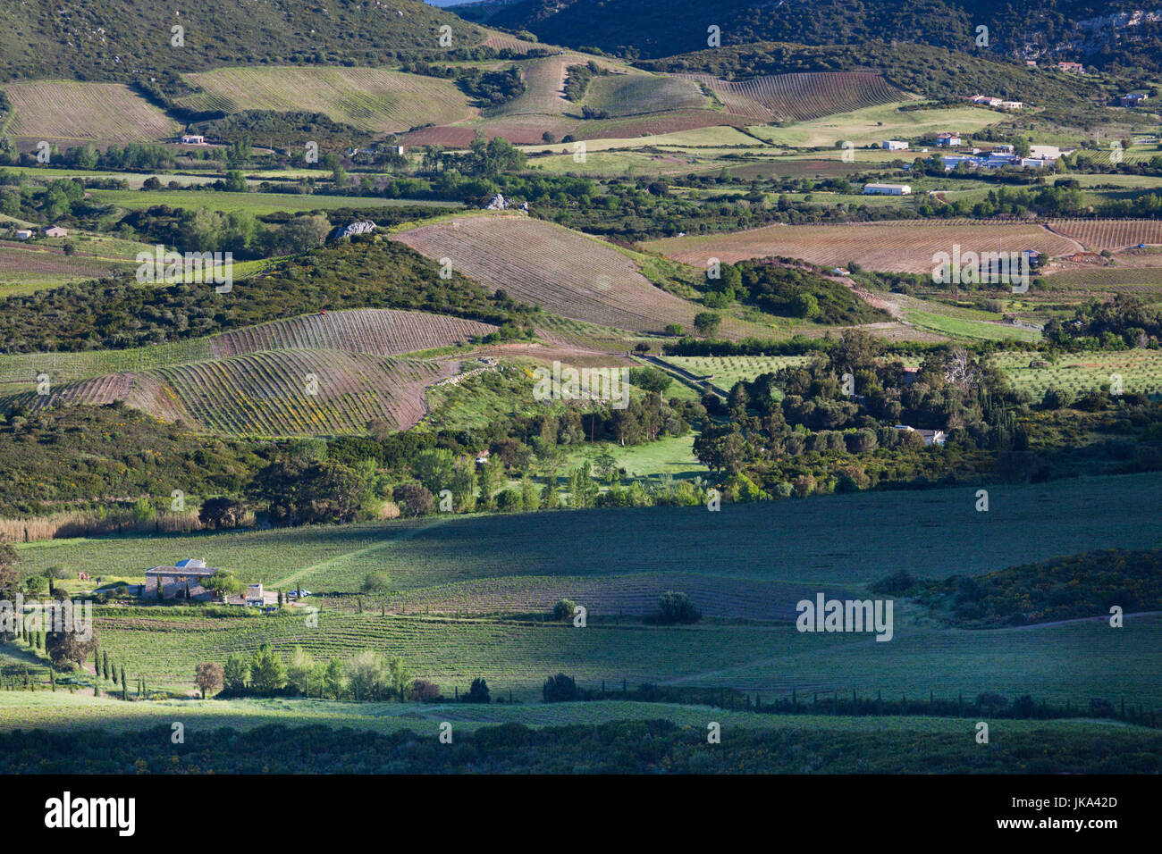 France, Corse, Haute-Corse, le ministère de la région du Nebbio, Oletta, Nebbio landscape Banque D'Images