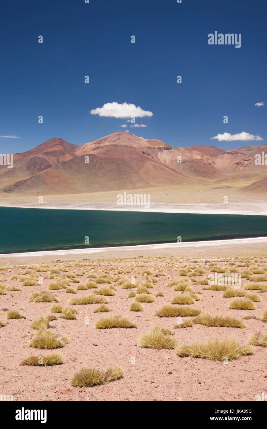 Chili, Désert d'Atacama, Laguna Miscanti, desert lake view Banque D'Images