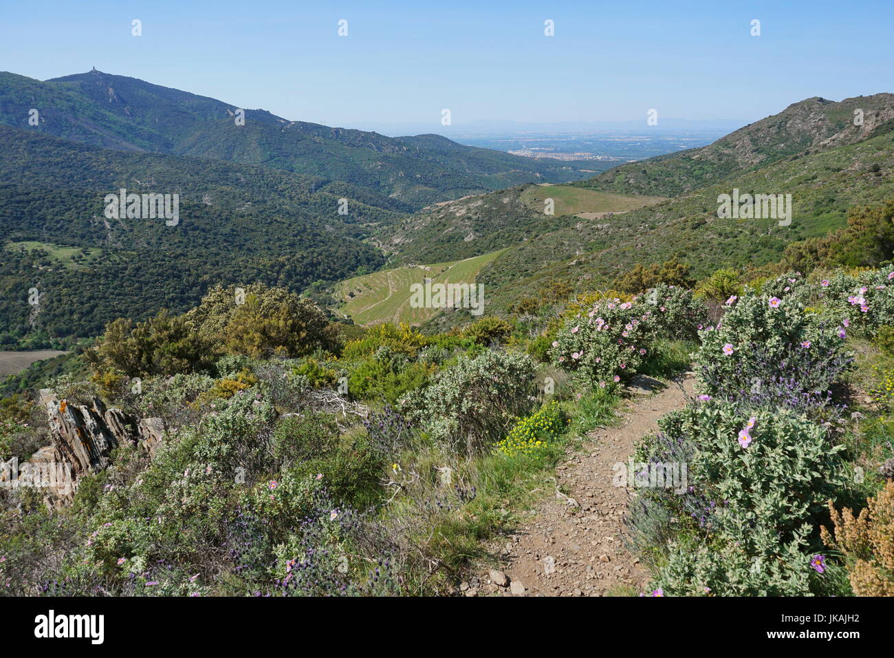 La vallée du paysage Le Rimbau depuis les montagnes du massif des Albères, Pyrénées Orientales, Roussillon, sud de la France, Méditerranée Banque D'Images