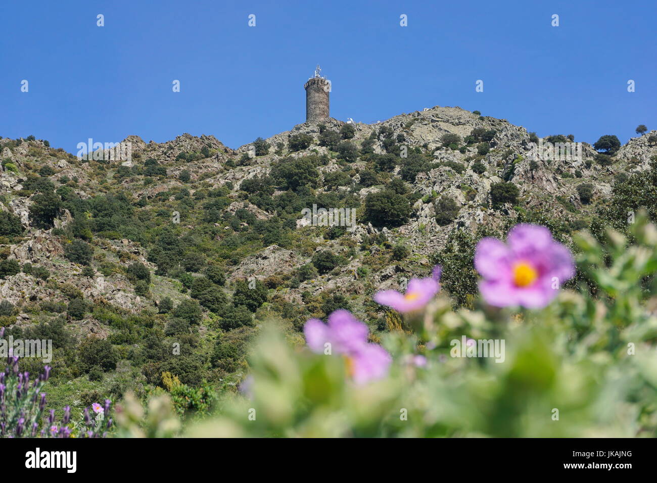 Vieille tour en pierre la Tour Madeloc, cité médiévale à environ 650 mètres de hauteur dans le massif des Albères, Pyrénées Orientales, Roussillon, France Banque D'Images