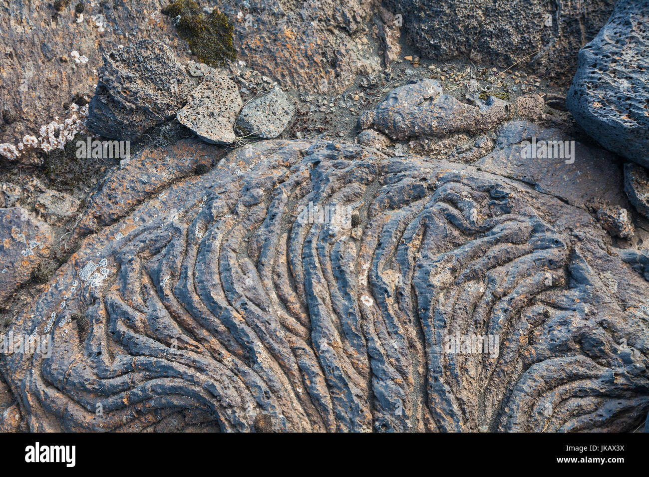 Flux de lave solidifiée sur la plaine côtière du sud de l'Islande Banque D'Images