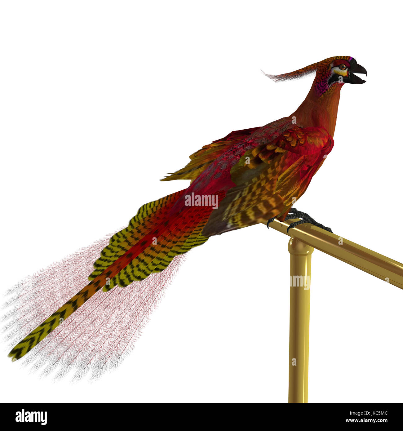 Phoenix oiseau sur perchoir - Le Phoenix est un oiseau de la mythologie grecque, c'est une longue durée de vie et renaît ou régénérée, encore et encore. Banque D'Images