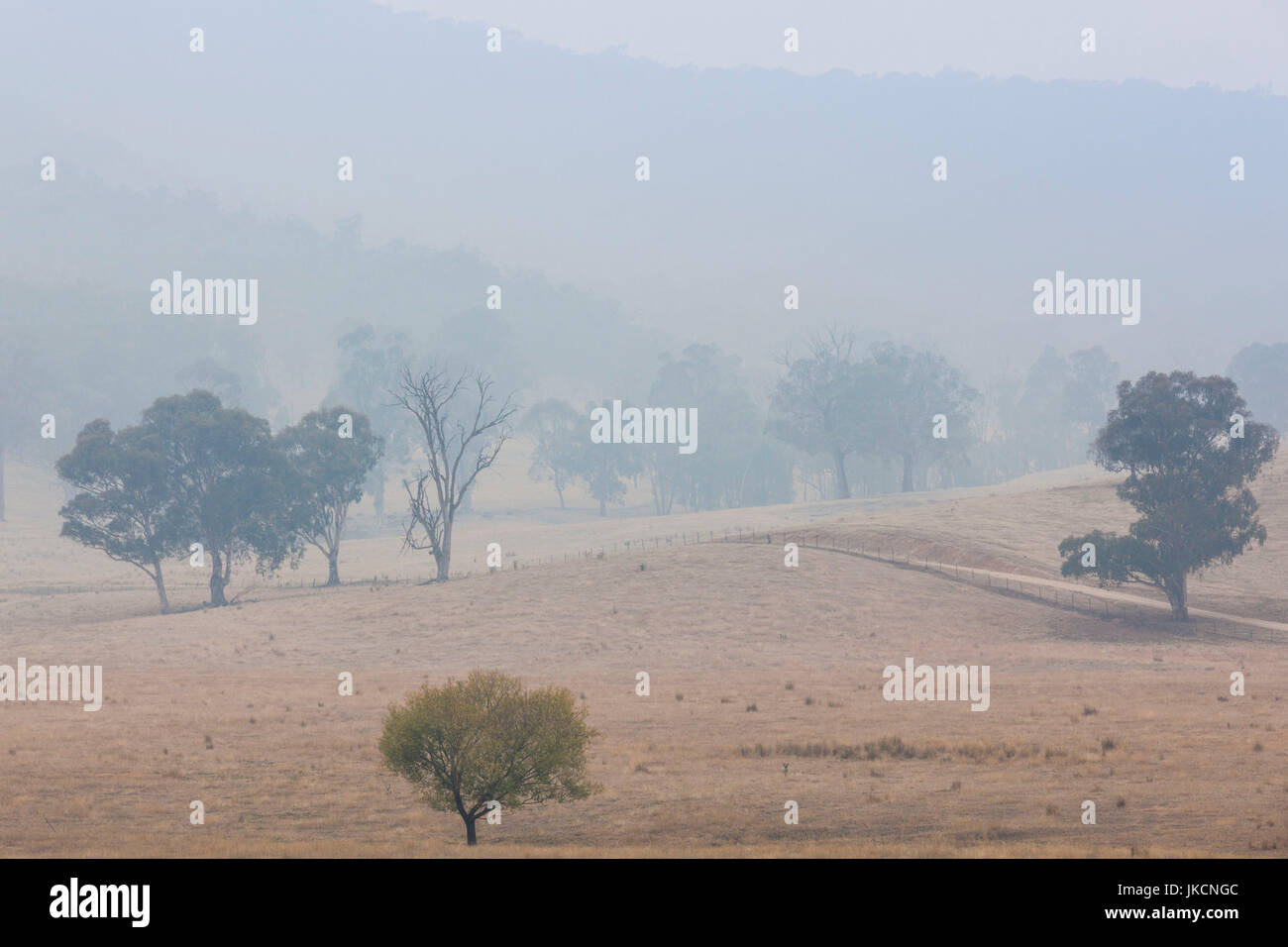 L'Australie, New South Wales, NSW, Khancoban, paysage avec la fumée des feux de forêt en été Banque D'Images
