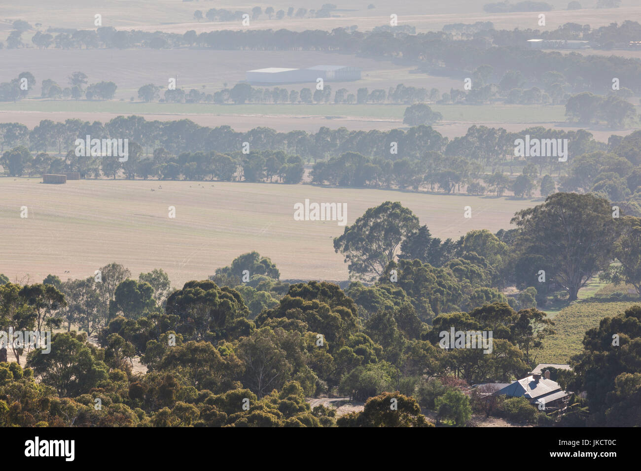 L'Australie, l'Australie du Sud, Clare Valley, Clare, portrait de campagne de Quarry Hill, matin Banque D'Images