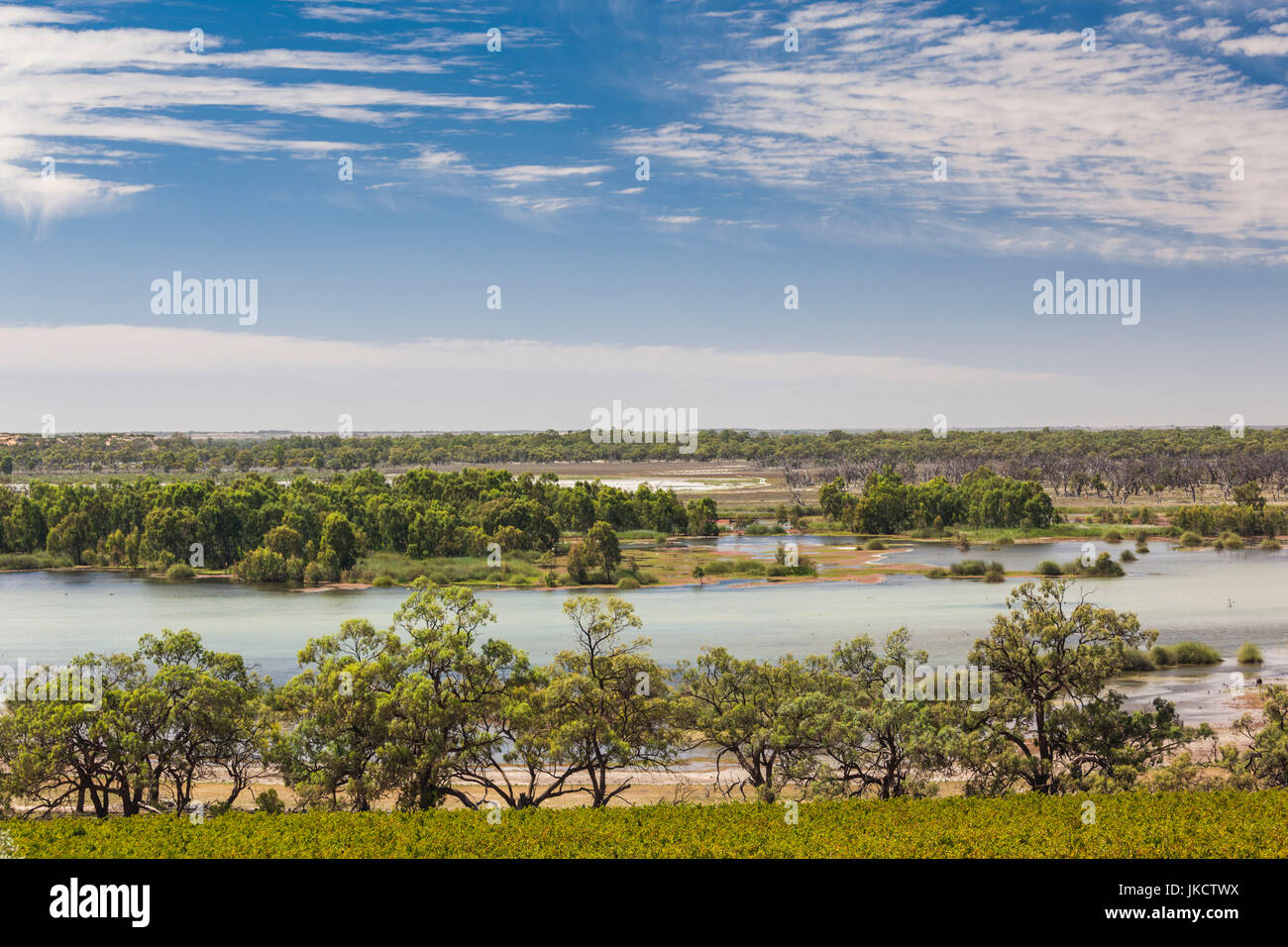 L'Australie, l'Australie, Murray River Valley, Kingston sur Murray, Banrock Station, le Centre du vin et des zones humides, paysage Banque D'Images