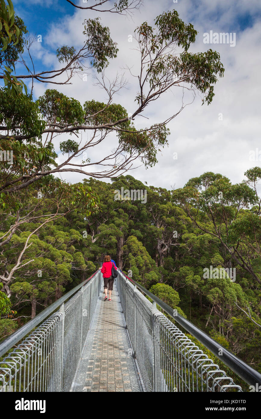 L'Australie, l'ouest de l'Australie, le sud-ouest, Walpole-Nornalup, Valley of the Giants Tree Top Walk, de l'allée au-dessus des arbres tingle géant Banque D'Images