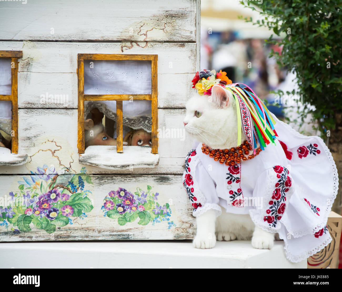 Kiev Ukraine 28 Juin 15 Joli Chat Blanc Habille En Robe Traditionnelle Ukrainienne Couronne Et Collier De Fleurs Et De Rubans A L Exposition Feline Dans U Photo Stock Alamy Kiev Ukraine 28 Juin 15 Joli Chat Blanc Habille En Robe Traditionnelle Ukrainienne Couronne Et Collier De Fleurs Et De Rubans A L Exposition Feline Dans U Photo Stock Alamy