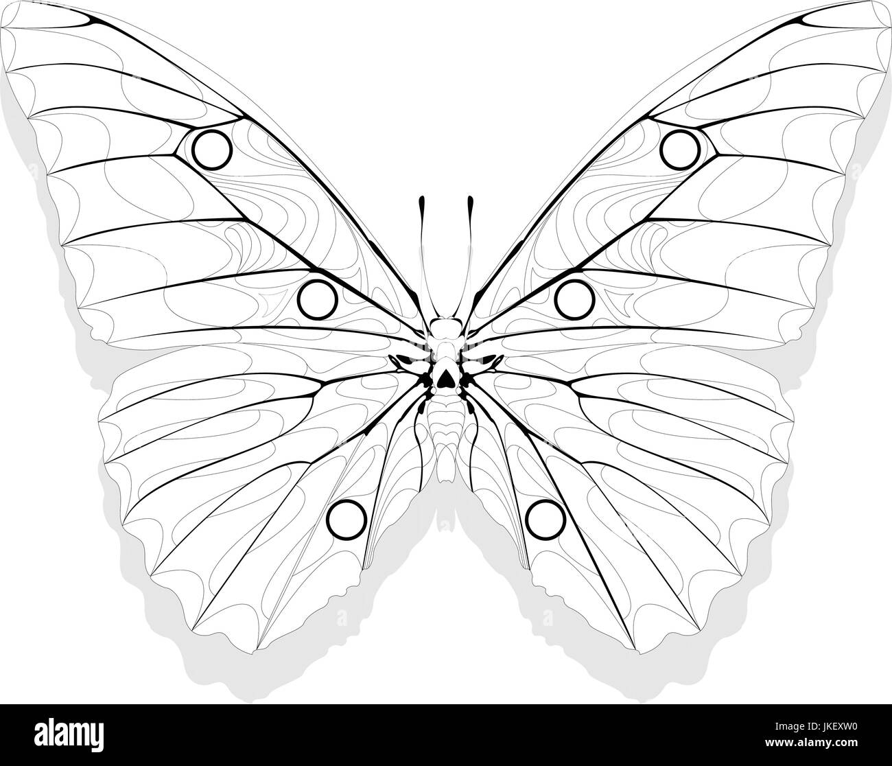 Papillon style zentangle dessiné à la main pour un livre à colorier, character design ou d'un tatouage Illustration de Vecteur