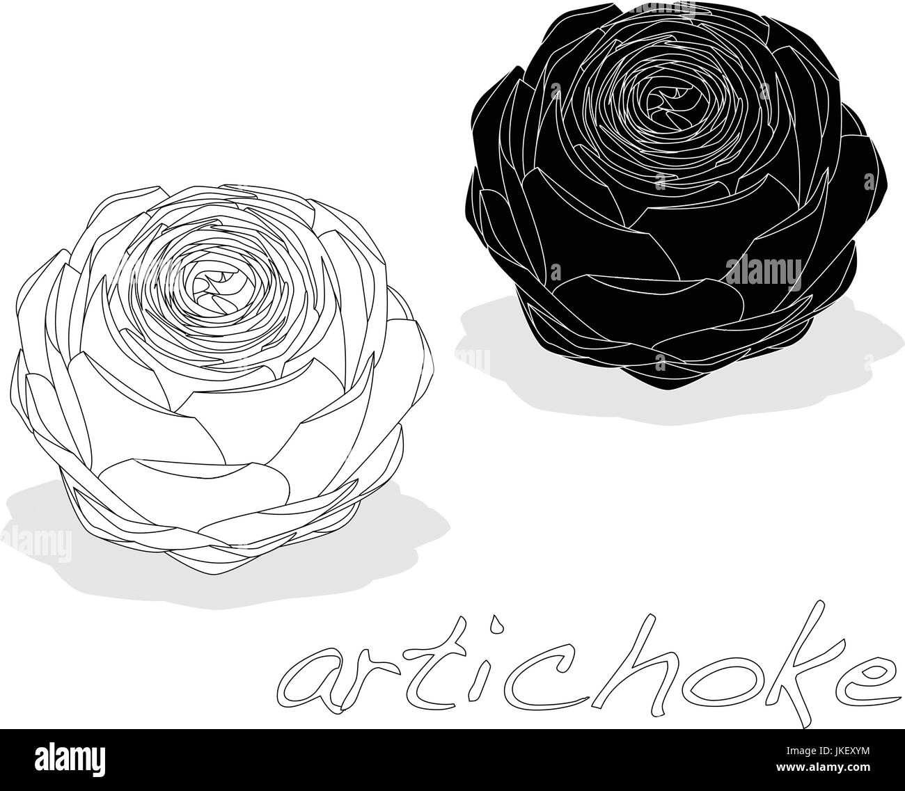 L'artichaut isolé sur fond blanc Illustration de Vecteur