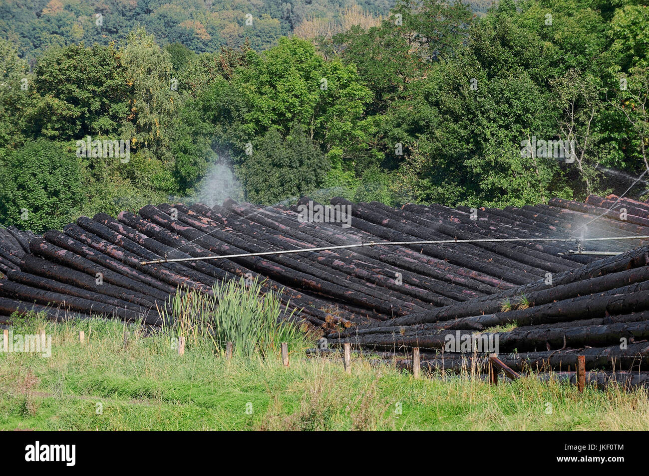 L'irrigation des tas de bois, Sauerland, Rhénanie du Nord-Westphalie, Allemagne / Nassholzlager Bewaesserung timberyard |, von Holzstapeln, Sauerland Banque D'Images