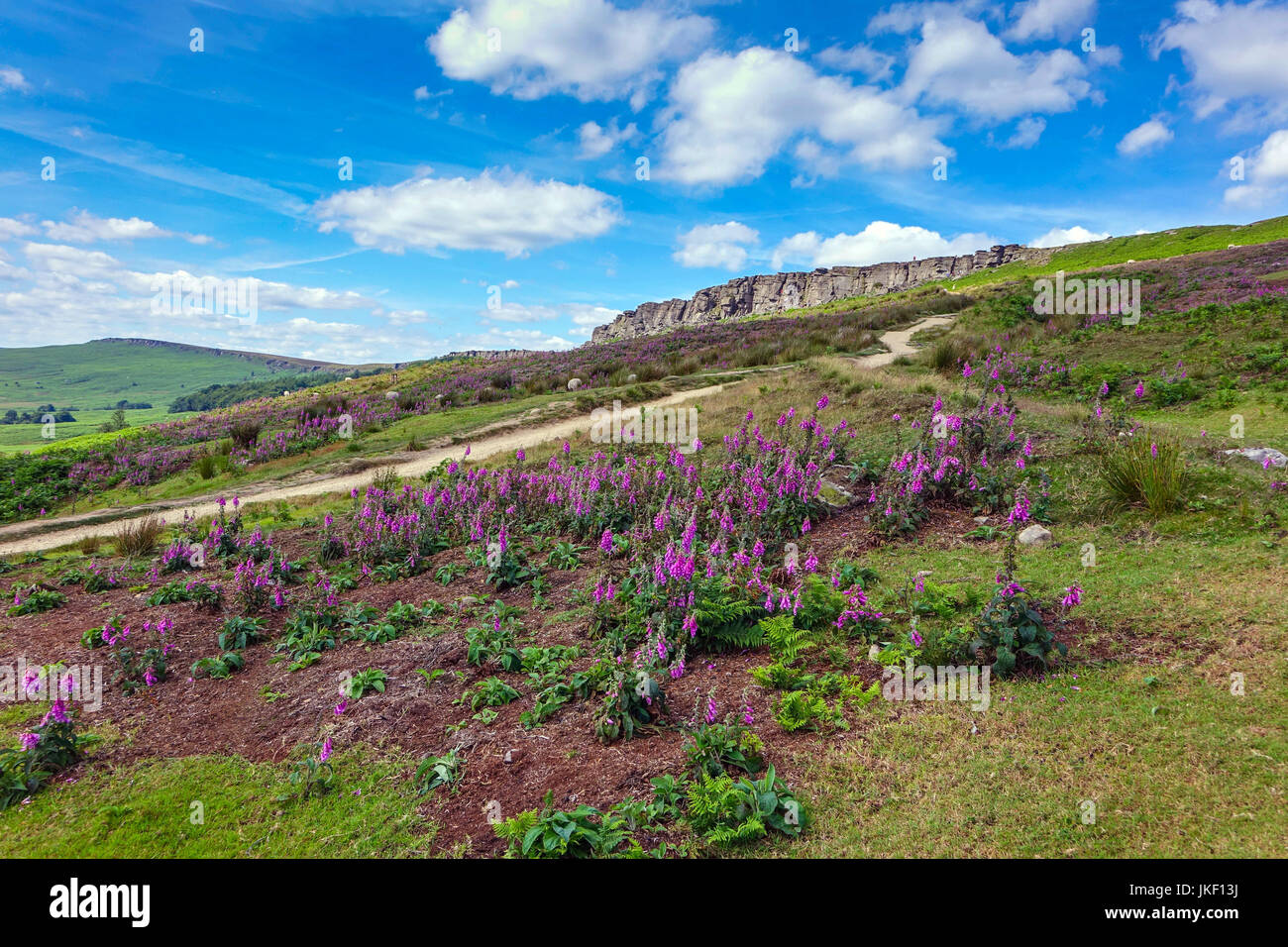 Stanage Edge, parc national de Peak District, Derbyshire Banque D'Images