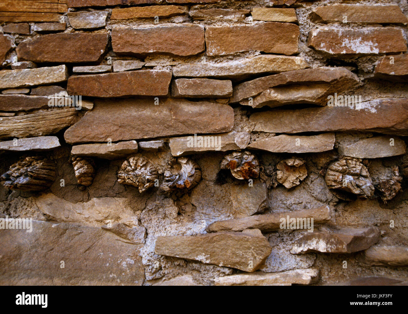 Les murs de maçonnerie de grès Hungo Pavi Anasazi Pueblo de Chaco Canyon, Nouveau Mexique, vestiges de vigas (bois de taille prend en charge pour plancher ou plafond. Banque D'Images