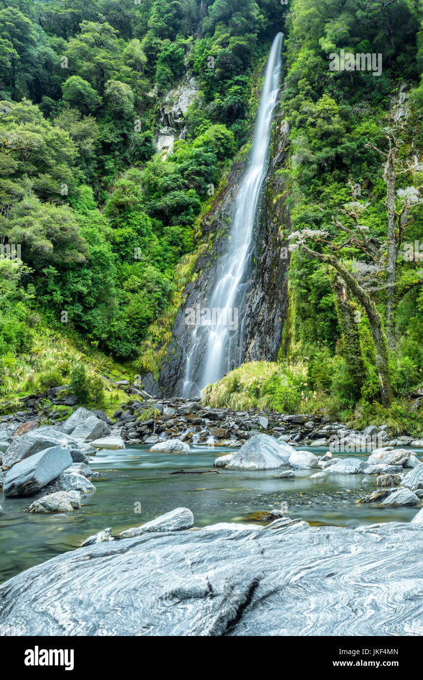 Nouvelle Zélande, île du Sud, Thunder Creek Falls à haast river Banque D'Images