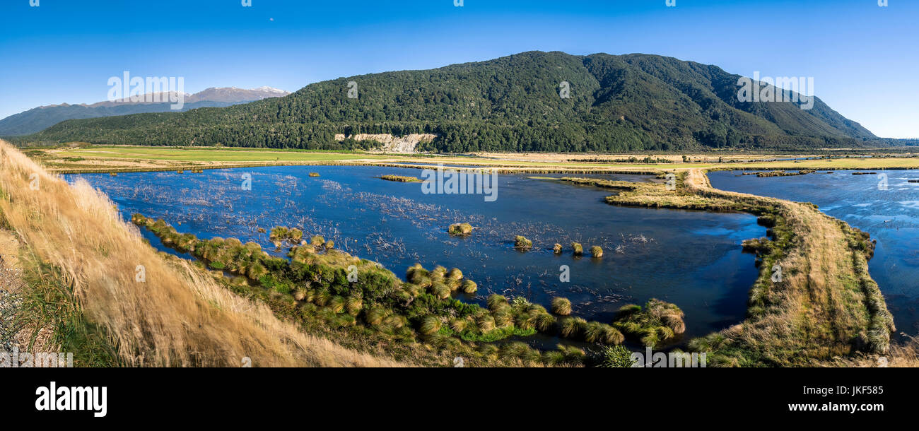 Nouvelle Zélande, île du sud, le sud de l'itinéraire touristique, parc national de Fiordland, rohata wetlands Banque D'Images