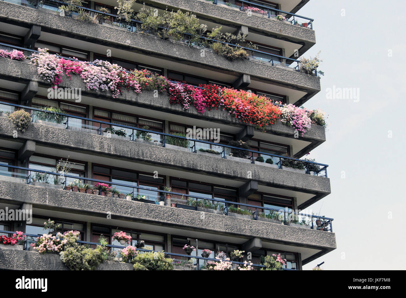 Des rangées de plantes de jardin de balcon coloré geraniums poussant dans les jardins à l'extérieur de Barbican Estate appartements dans la ville de Londres Royaume-Uni KATHY DEWITT Banque D'Images