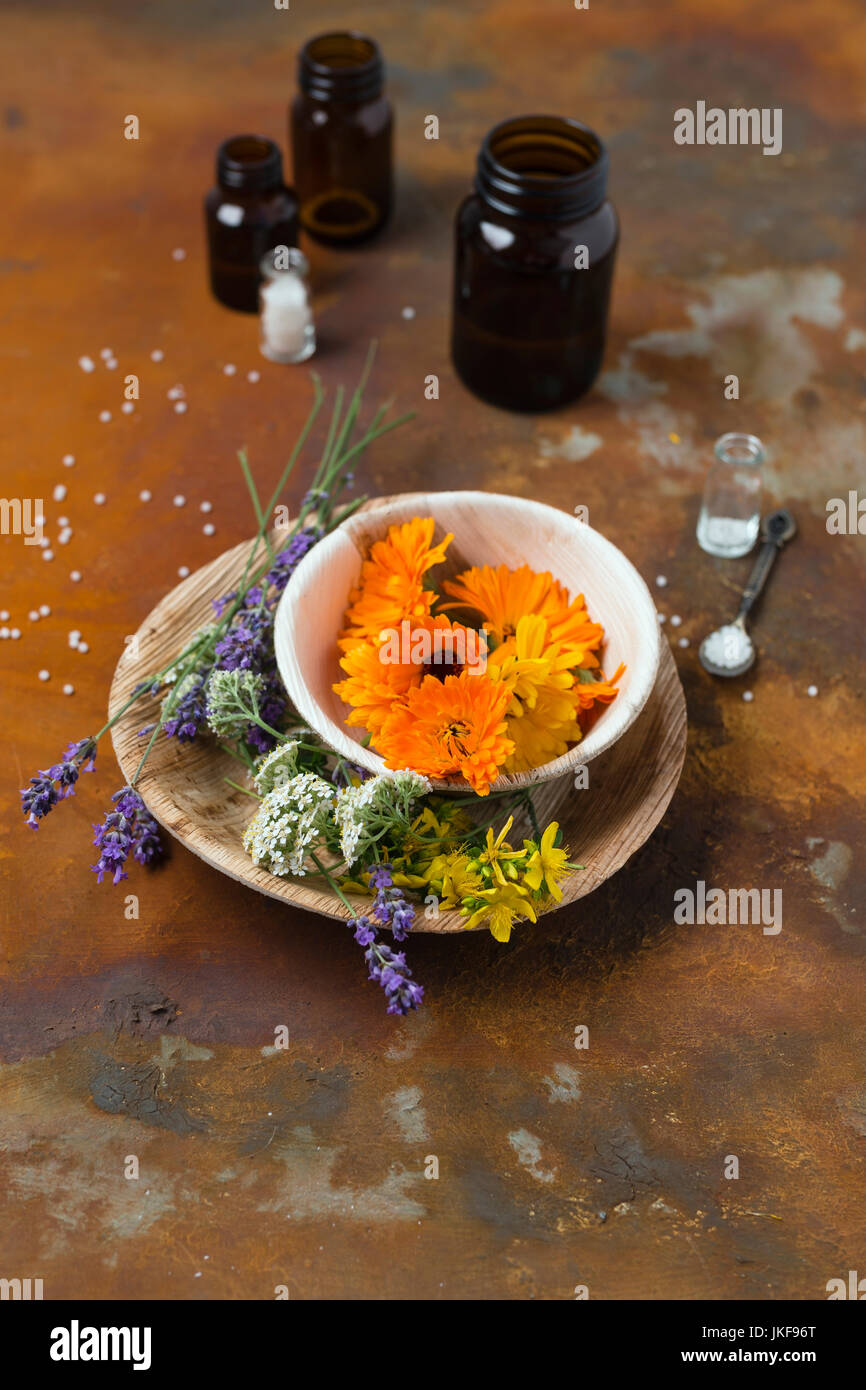 Fleurs de plantes médicales, de flacons de médicaments et de globules sur un sol rouillé Banque D'Images