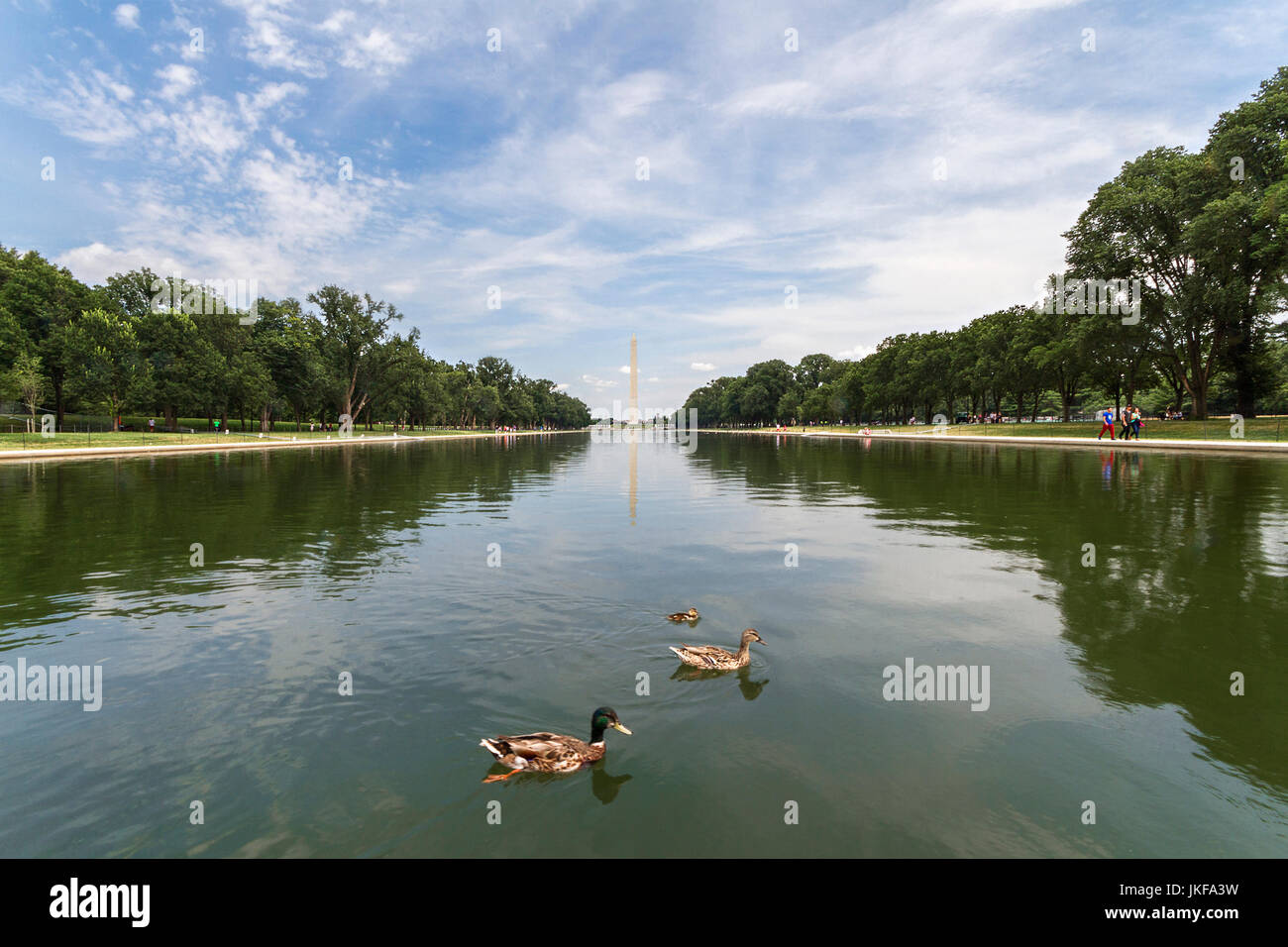 Le Monument de Washington, Washington DC, USA Banque D'Images