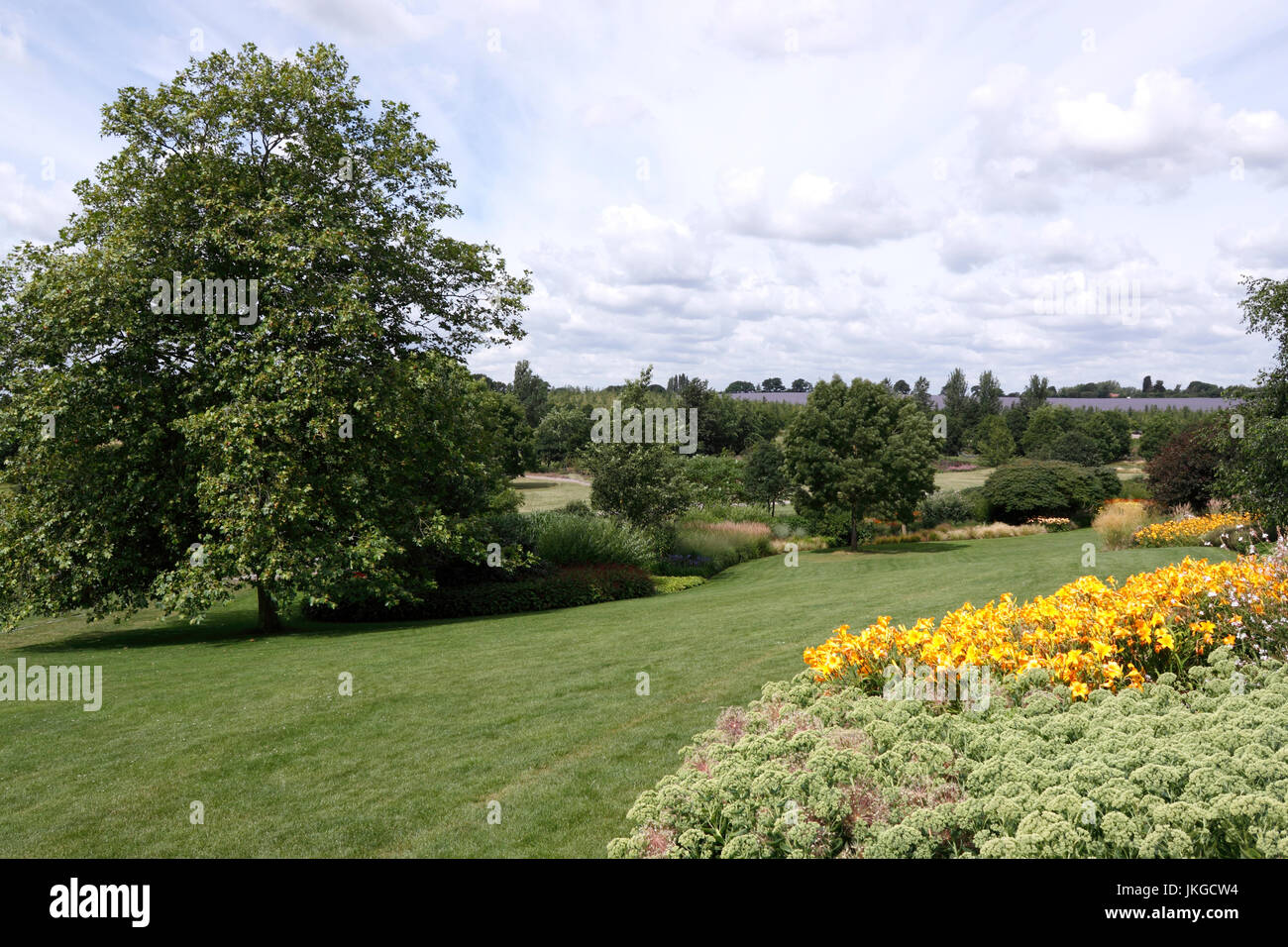 Paysage d'ÉTÉ À RHS HYDE HALL UK ESSEX Banque D'Images