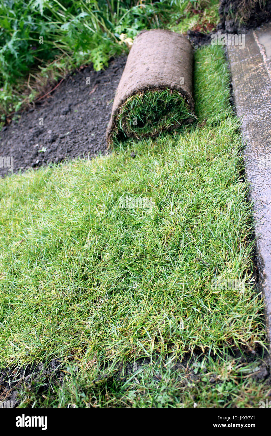 Rouleaux de gazon jardin faire une nouvelle pelouse Banque D'Images