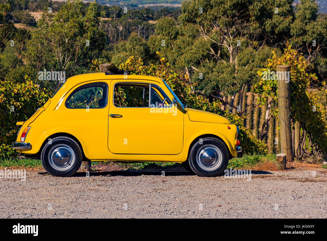 Voiture jaune garé devant une rangée de vignes dans les collines d'Adélaïde en Australie du Sud Banque D'Images