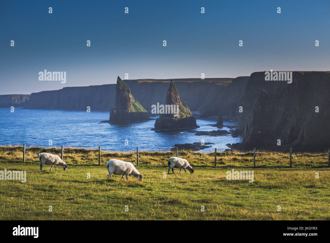 Des piles de Duncansby à Duncansby Head Banque D'Images