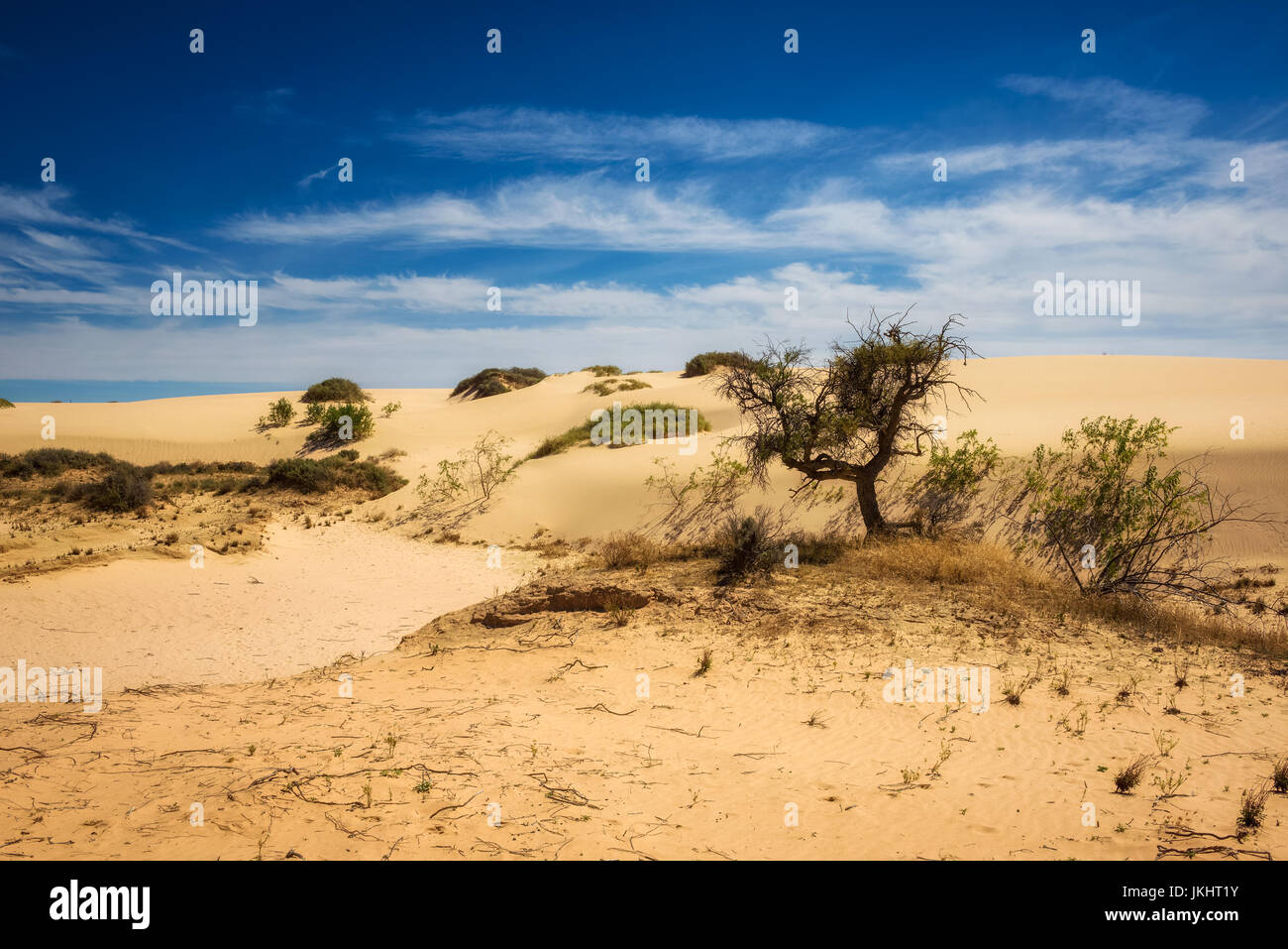 Dunes de sable dans le parc national de Mungo, New South Wales, Australie Banque D'Images