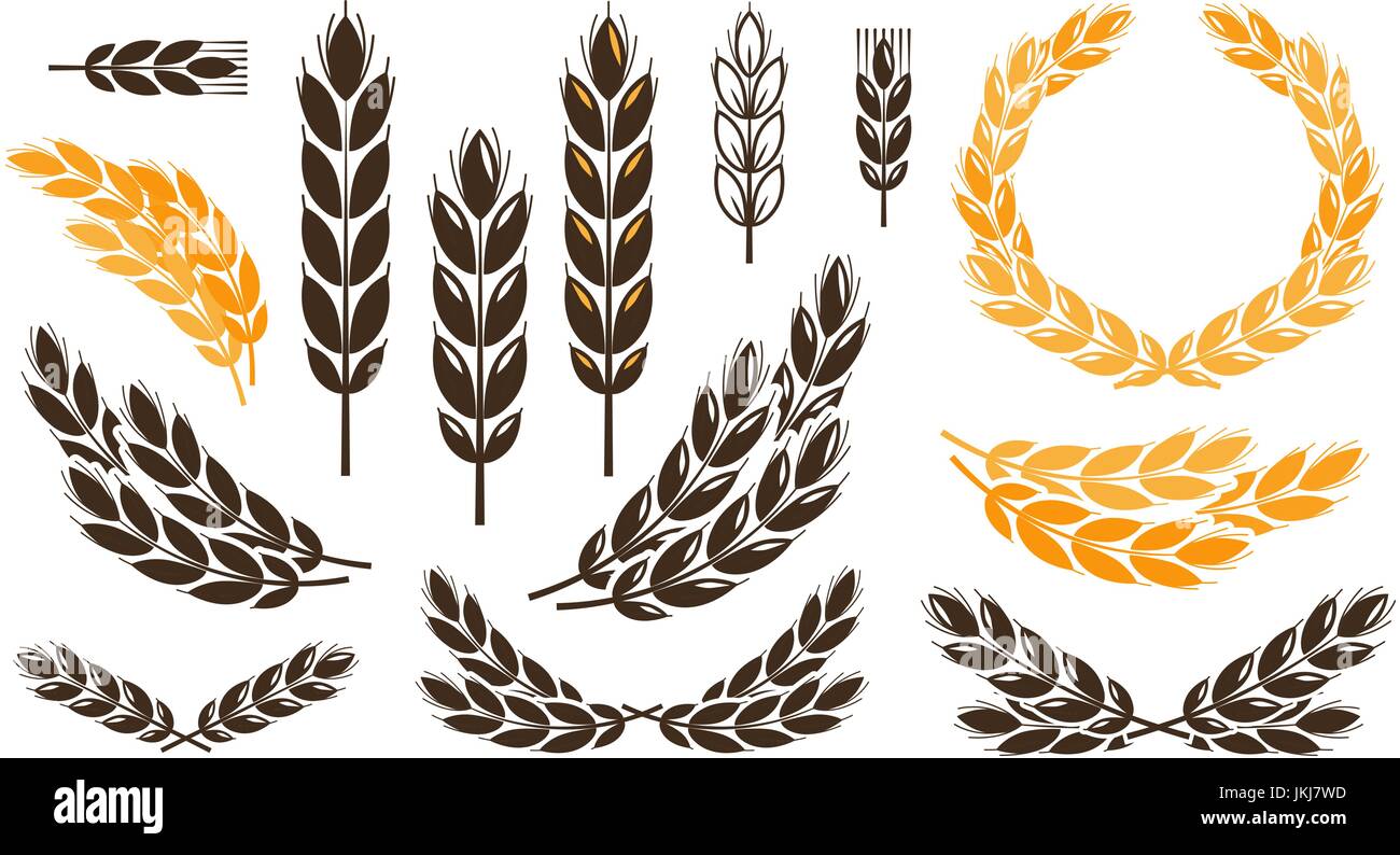 Pain de blé de l'oreille, logo ou label. La récolte, boulangerie, boulangerie set d'icônes. Vector illustration Illustration de Vecteur