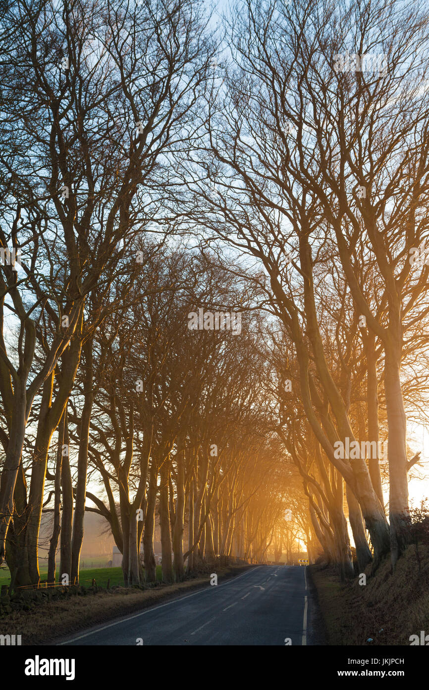 Coucher de soleil le long d'une route en Ecosse Banque D'Images