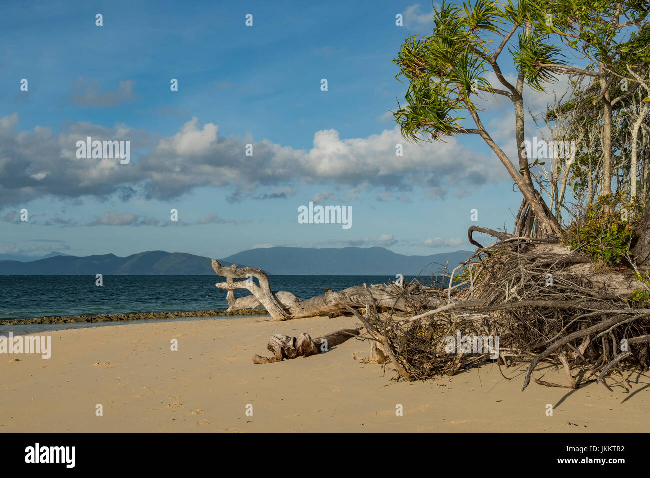 Plage sur l'île Green, Queensland, Australie Banque D'Images