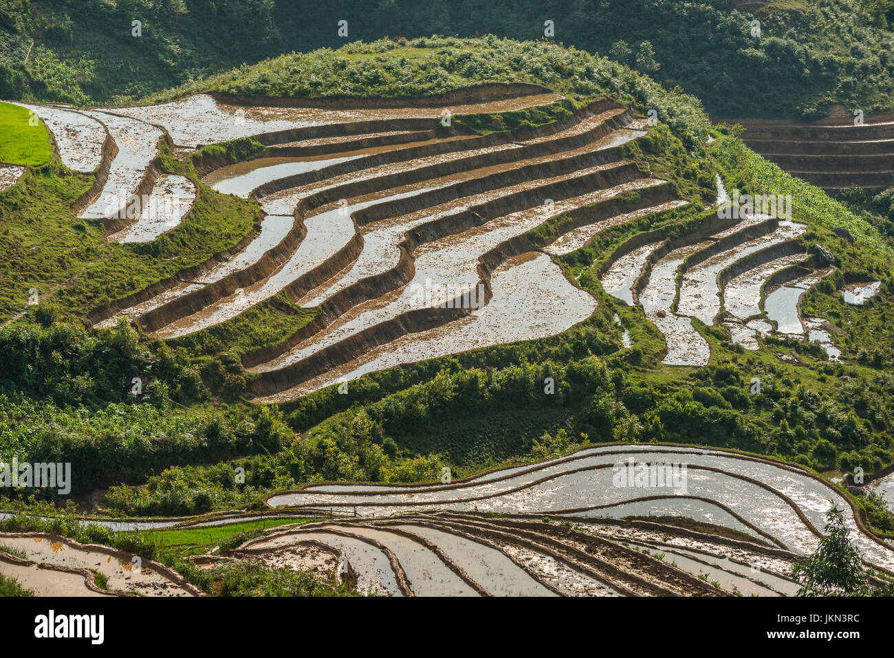 Vue panoramique sur les rizières près de Sapa, Vietnam du Nord. Banque D'Images