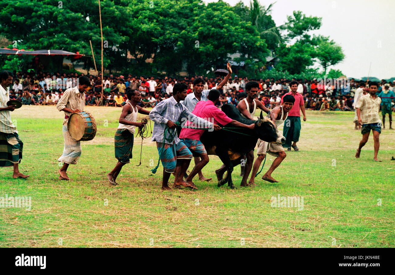 Corrida EST L'UNE DES jeu passionnant et intéressant à BIL ET ZONE HAOR DE BANGLADESH RURAL PENDANT DES CENTAINES D'ANNÉES QUI A LIEU en saison sèche. Banque D'Images