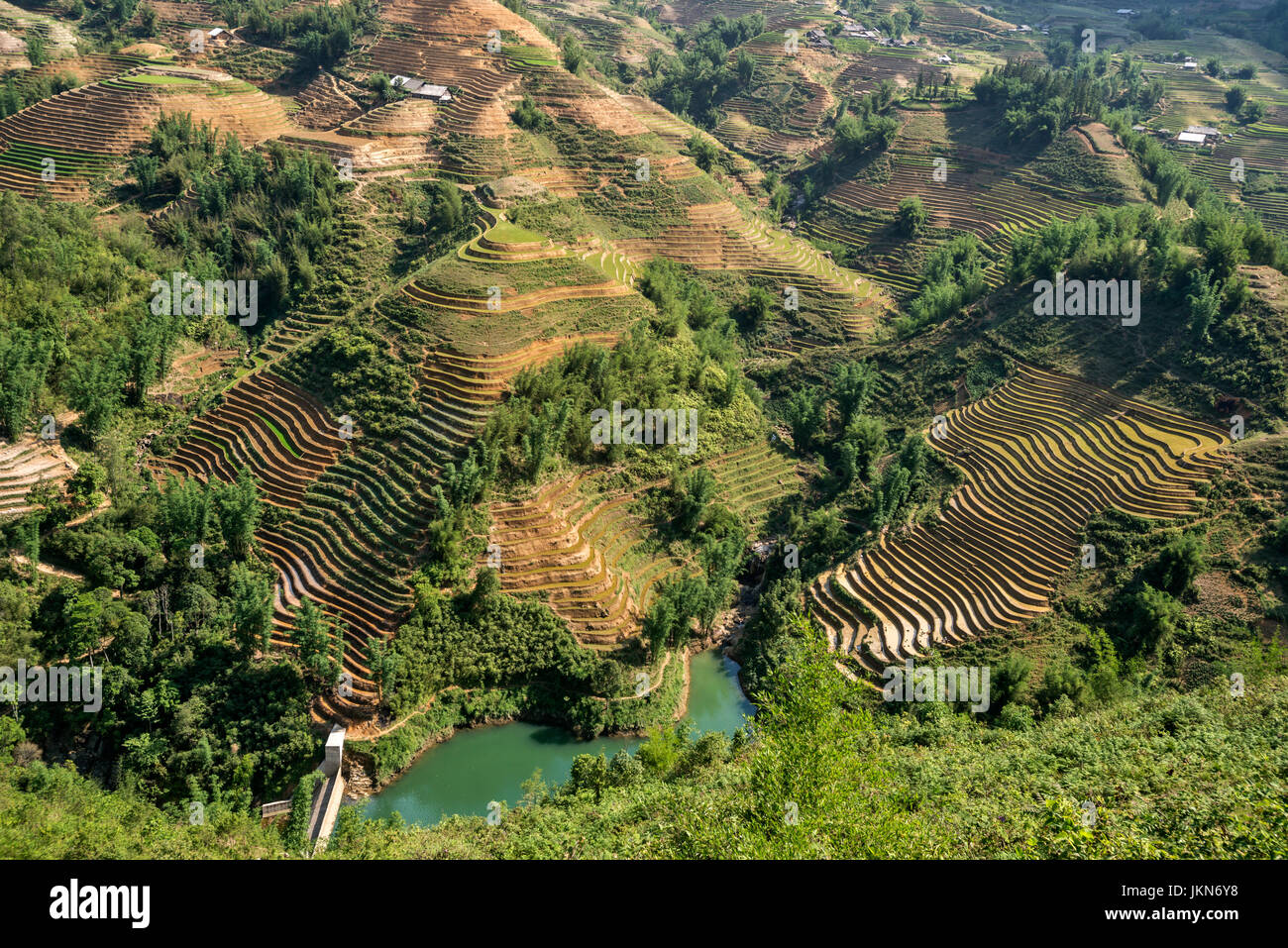 Vue panoramique sur les rizières près de Sapa, Vietnam du Nord. Banque D'Images