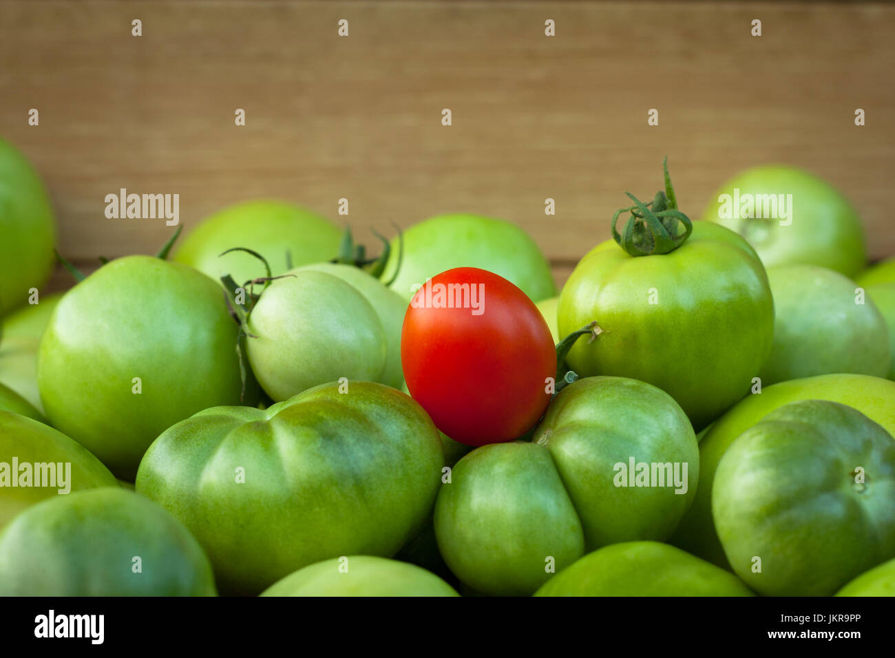 Les tomates. L'un Rouge tomate mûre sur les tomates sur le fond en bois, Copyspace. Les tomates rouges et vertes. Focus sélectif. Banque D'Images