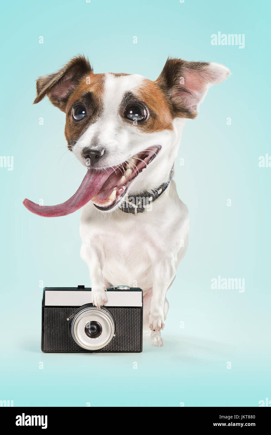 La prise d'une photo de chien avec un ancien appareil photo Banque D'Images