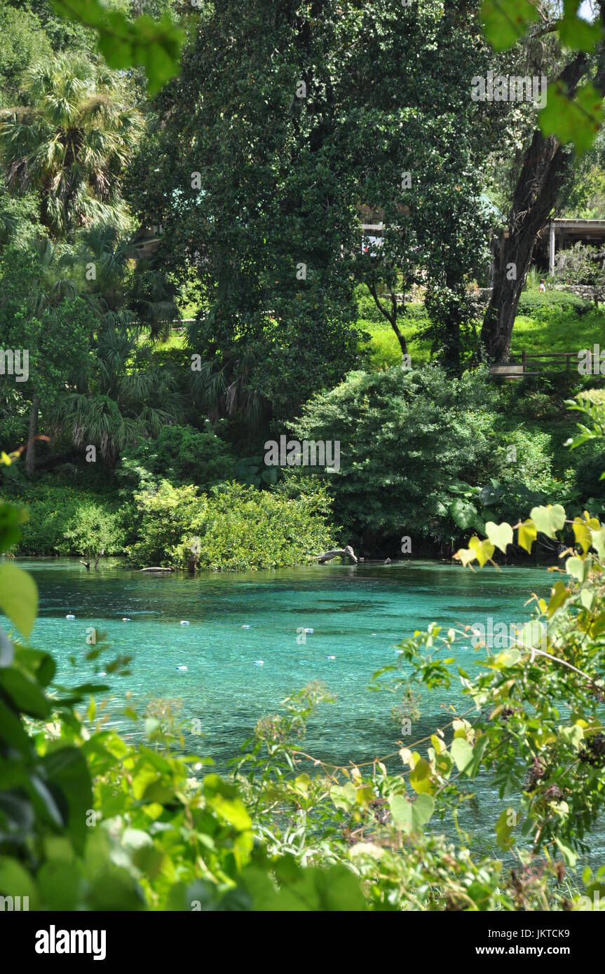 Rainbow Springs Florida Banque D'Images