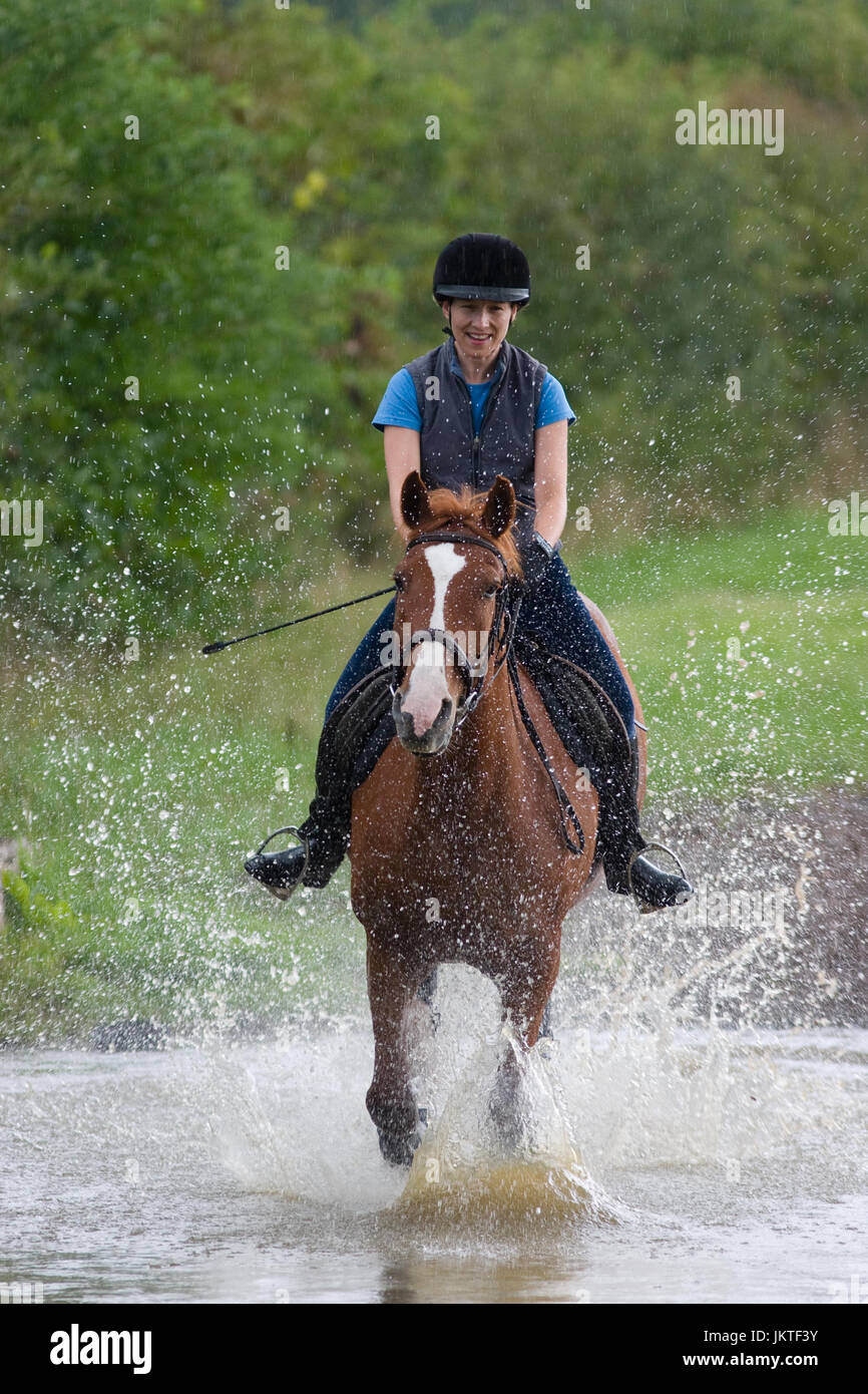 Femme à cheval, au galop dans l'eau Banque D'Images