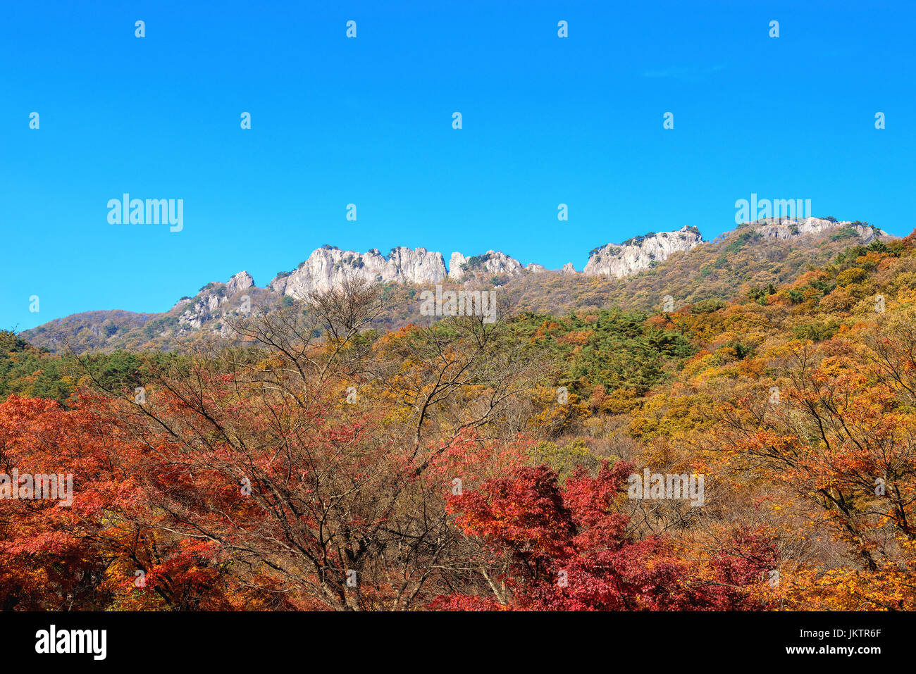 Le Parc National de Seoraksan en automne, Corée. Banque D'Images
