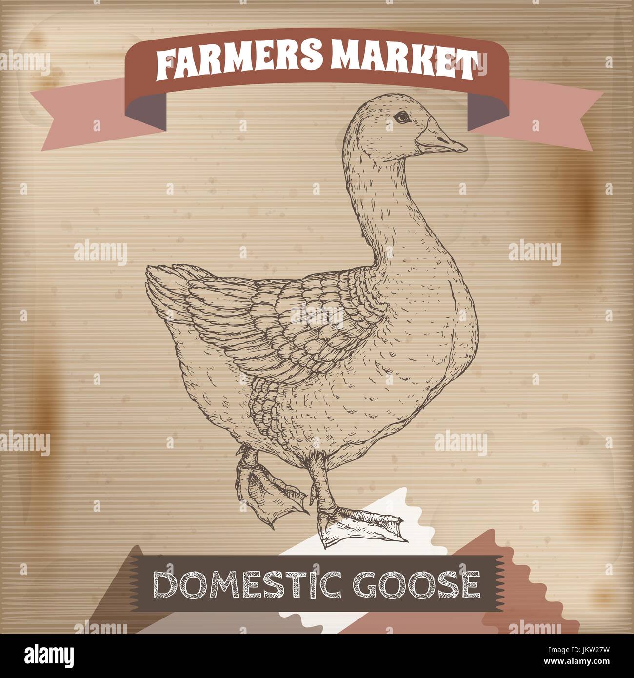 Vintage farmers market label avec l'oie domestique. Illustration de Vecteur