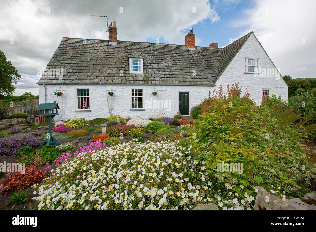 Cottage Anglais peint en blanc avec jardin coloré, y compris rouge, blanc, jaune, rose et fleurs et d'oiseaux table d'alimentation. Banque D'Images