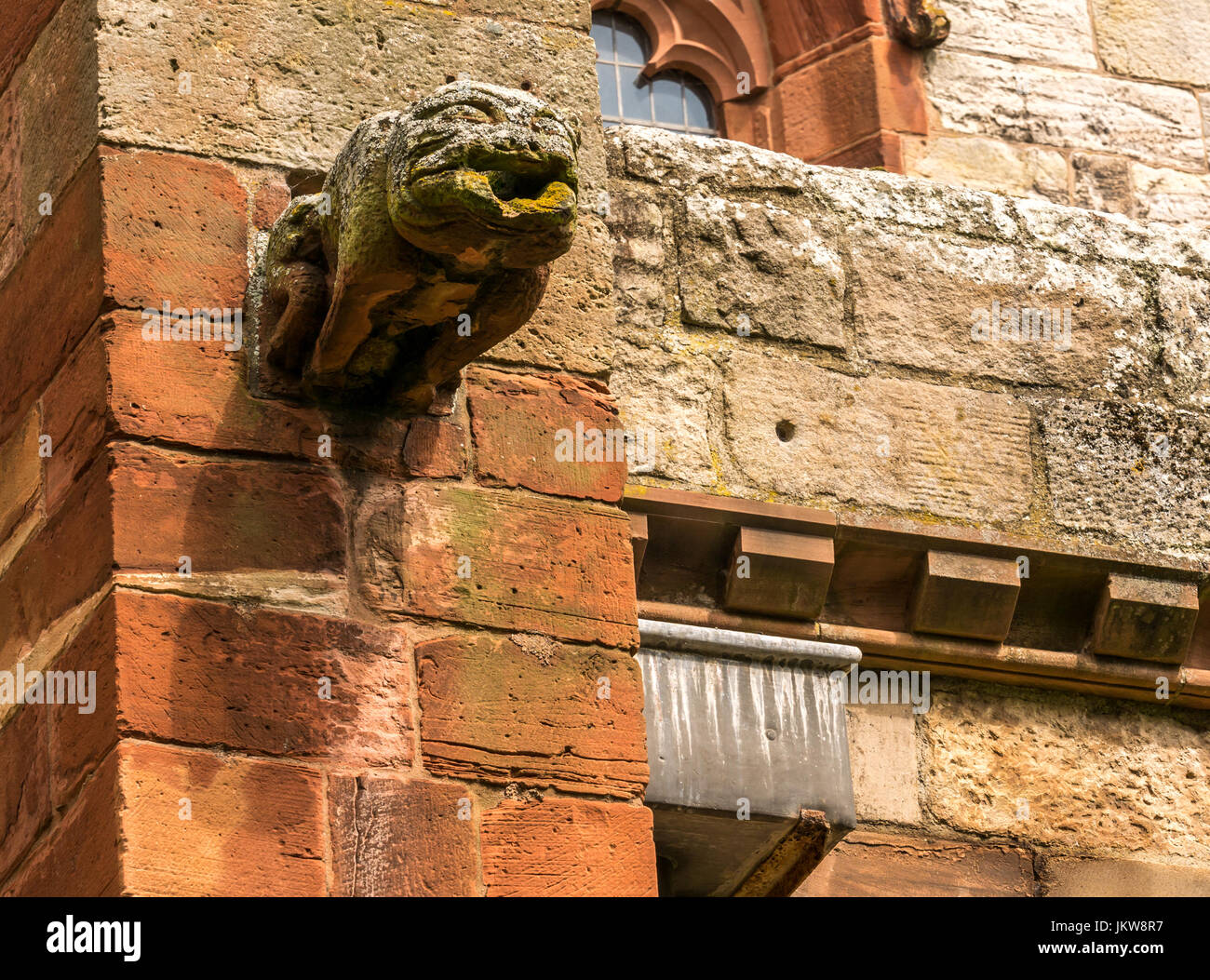Gargouille de grès horrible sur l'extérieur du bâtiment de l'église agissant comme un drain d'eau , St Mary's Collegiate Church, Haddington, East Lothian, Écosse, Royaume-Uni Banque D'Images