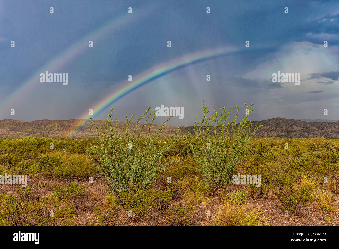 Double arc-en-ciel après la tempête dans la région de Big Bend National Park Banque D'Images