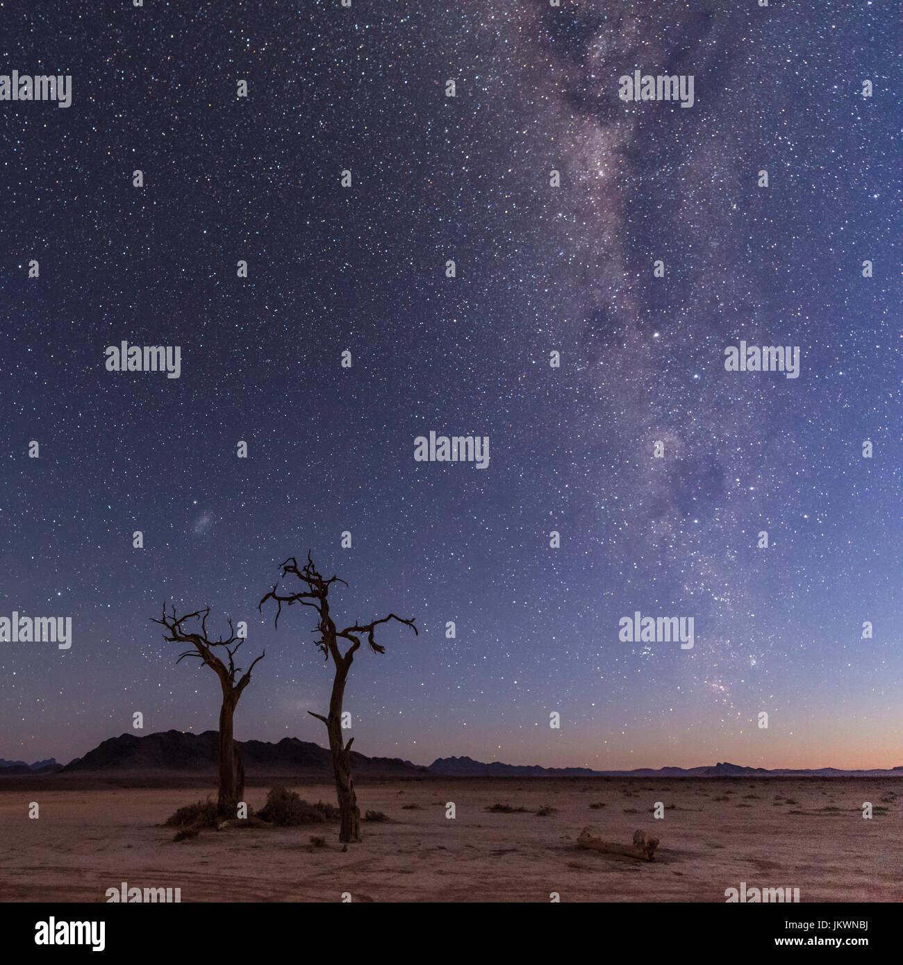 Star Trails et Milky Way Photography en Namibie Banque D'Images