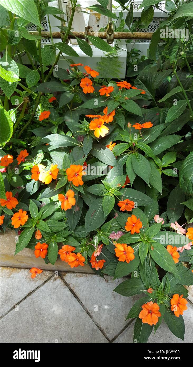 Photographie prise en 2017 Banque D'Images