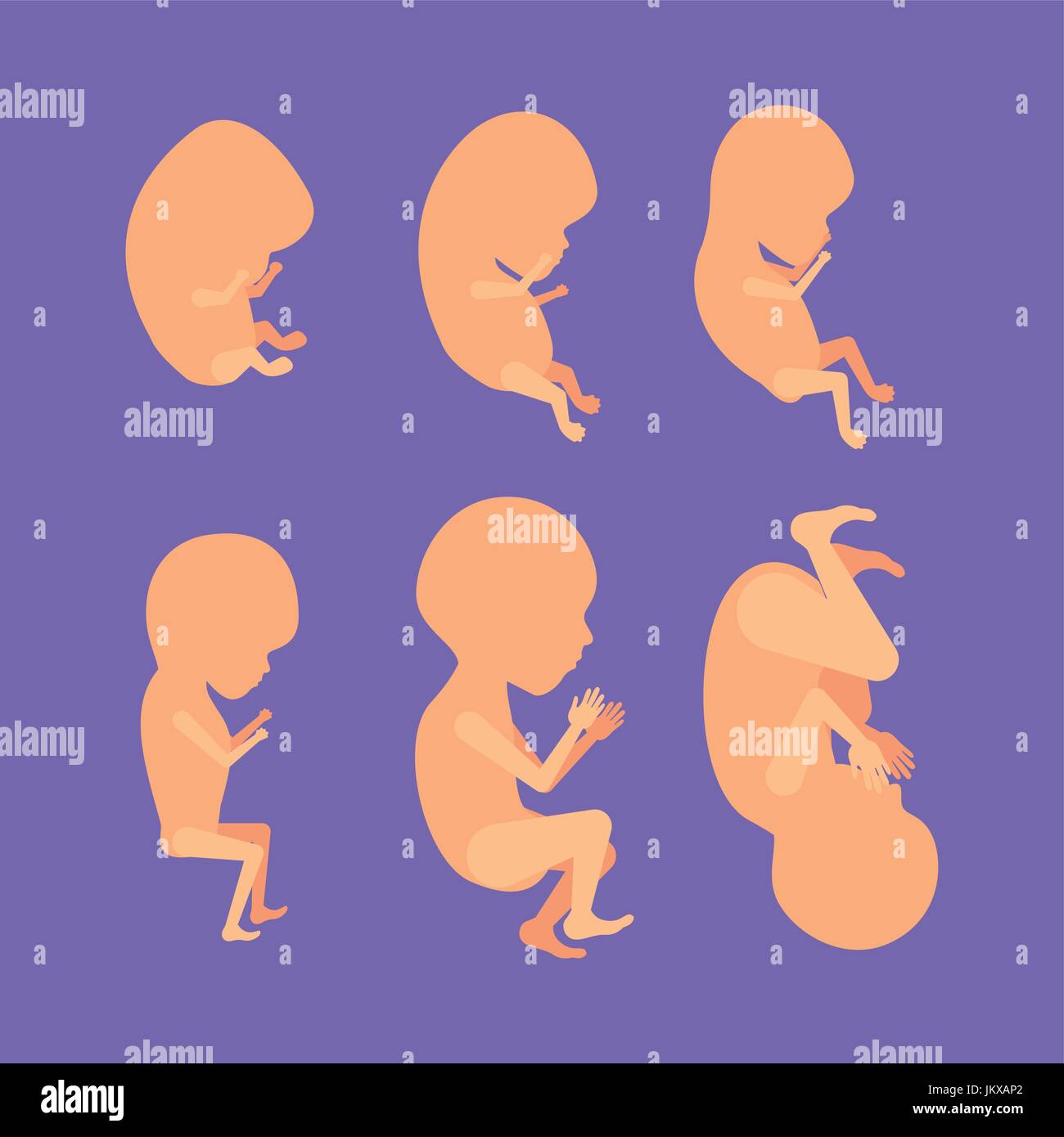 Fond de couleur avec la croissance fœtale ensemble silhouette Illustration de Vecteur